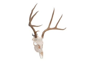 Image of Allen Steel Trophy Wall Hook Set, 1/8in Thick, Permissible 15 Pounds, 2 Hooks-Pack, Black, 5625