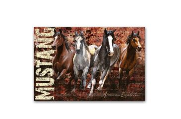 Image of American Expedition Mustang Graphic Canvas Art, 23.6in x 15.7in 4001024