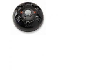 Image of American Hunter Swine Shine Hog  Light, AH-HOGLITE