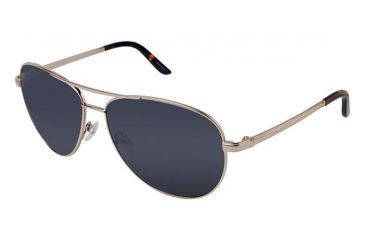 Image of Ann Taylor AT1213S Bifocal Prescription Sunglasses TYAT1213S01 - Frame Color Gold