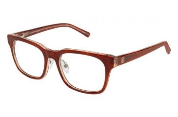 Image of Ann Taylor AT401 Progressive Prescription Eyeglasses - Frame Hrn/Crysl Rose, Size 50/17mm TYAT40103