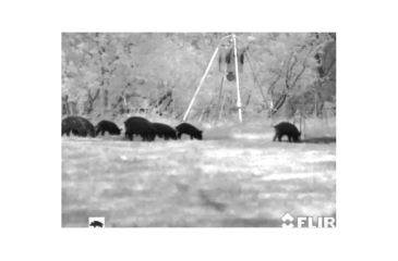 Image of Armasight Command/Pro 336 3-12x42, 30Hz Thermal Imaging Bi-Ocular, FLIR Tau 2 - 336x256 30Hz Core 17 micron, 42mm Lens TAT173BN4HELI31