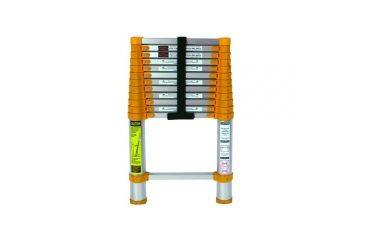 Image of Xtend and Climb Ladder