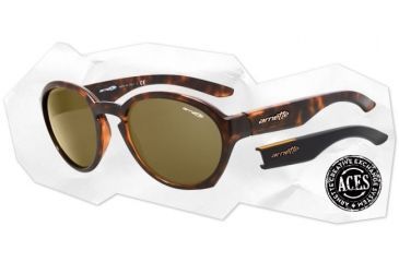 Image of Arnette Moolah Sunglasses - Havana w/ Extra Arms-Black &amp; Transparent Amber Frame and Brown Lens AN4170-03