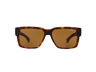 Image of Arnette Supplier Sunglasses, Fuzzy Havana Frame, Brown Polarized Lens-AN4213-02