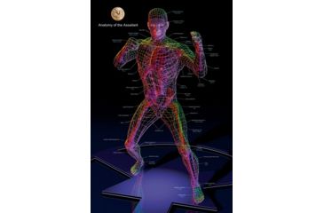 Image of ASP Training Support Reference Posters in Shipping Tube / Framed