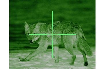 Image of ATN ARES6x-4 Nightvision Weapon Scope NVWSARS640