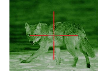 Image of ATN ARES6x-WPT Nightvision Weapon Scope NVWSARS6WP