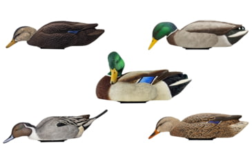 Image of Avian X Mallard Hen Species, Multi-Color, AVX-PSH-MHSF