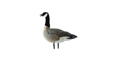 Image of Avian X AXP Outfitter Lesser Pack w/12 Slot Bag, AVX-AVX9009
