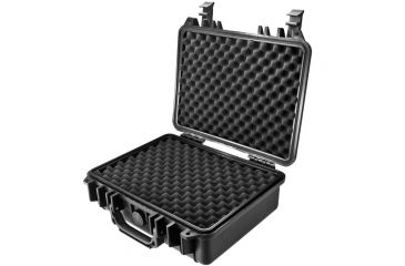 Image of Loaded Gear Case, Open BH11858