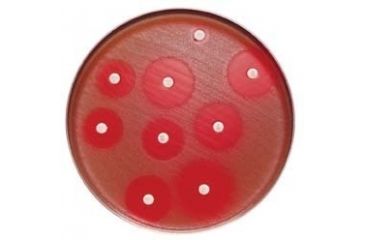 Image of BD BBL Sensi-Disc Antimicrobial Susceptibility Test Discs, BD Diagnostic Systems 231678 Clarithromycin