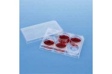 Image of BD Falcon Cell Culture Companion Plates for Inserts, Sterile, BD Biosciences 353504