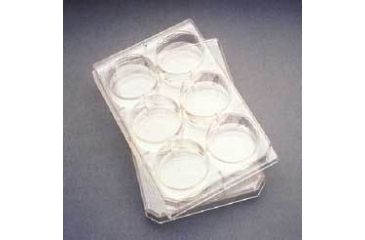Image of BD Falcon Multiwell Flat-Bottom Plates with Lids, Sterile, BD Biosciences 353078