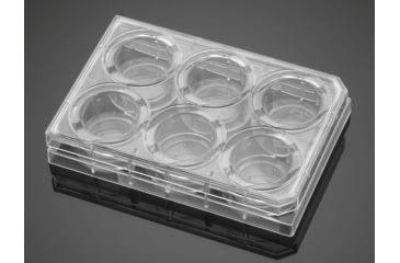 Image of BD Plate Amine 6-well 356721, Unit CS