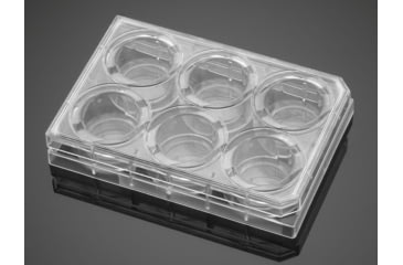 Image of BD Plate Carboxyl 6-well 354773, Unit CS