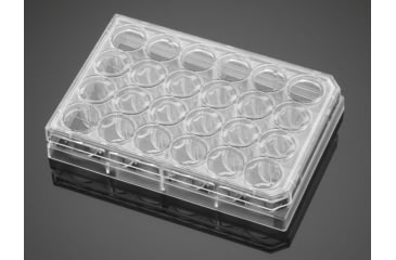 Image of BD Plate Cell Culture 8UG CS24 354578