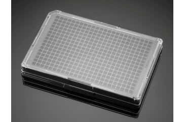 Image of BD Plate Pdl 384W BLK/CLR PK5 354663