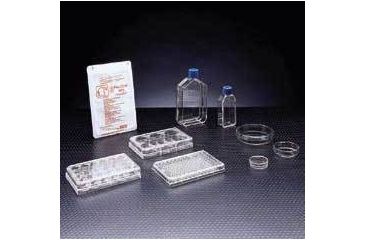 Image of BD Primaria Treated Labware, Sterile, BD Biosciences 353808 Culture Flasks With Vented Caps 25 cm2, Canted Neck