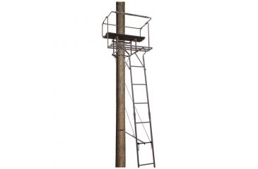 Image of Big Dog Big Bud Ladder Stand, Two Man 15 ft. BDL-405