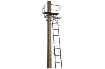 Image of Big Dog Big Bud Ladder Stand, Two Man 18 ft. BDL-455