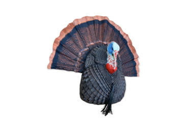 Image of Bone Collector Quarter Body Tom