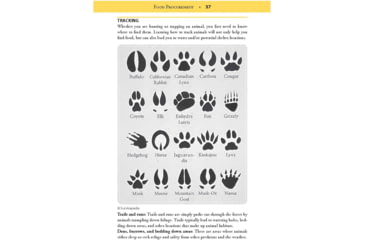 Image of Books Green Beret Bushcrafting Guide, By Brian M. Morris, 184 Page Paperback, 978-1-5107-7145-1