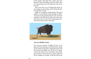 Image of Books Natve American Survival Skills by Stephen Brennan, 978-1-63220-717-3