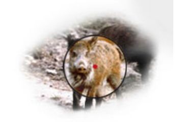 Image of BSA Optics Huntsman 1x30 Red Dot Sight, 5 MOA, Matte Black - Clam Pack RD30