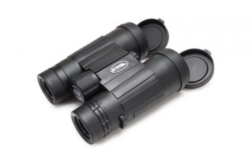 Image of BSA Optics Majestic DX 10x42mm Binocular &amp; LG 3.5-10x50 Scope Combo