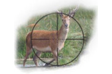 Image of BSA Optics Tactical Weapon Series 4 X30 Rifle Scope w/ Rings, AR & SKS Mount, Matte TW4X30