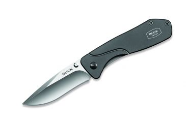 Image of Buck Knives Lux Folding Knife,2.75in Plain 420HC,Titanium Coated Handle 816TTS