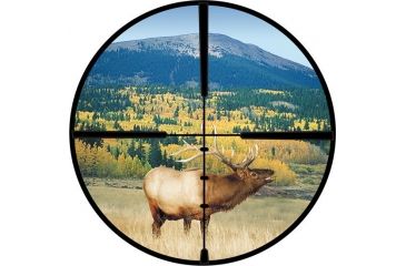 Image of Burris BallPlex Reticle