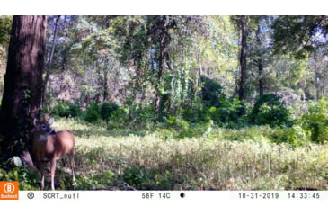 Image of Bushnell Dual Core Trail Camera, 30MP, Low Glow, Box, Treebark, Camo, 119975C