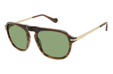 Image of Canali 219 Sunglasses - Frame BROWN HORN/GOLD, Lens Color G-15, Size 54/20mm CO21901