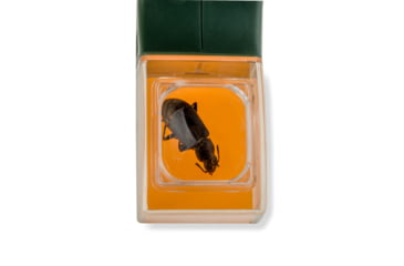 Image of Carson BugView One Hand Bug Catcher with 5x Magnifier Outdoor Green HU-10