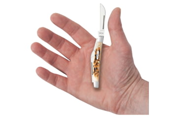 Image of Case Small Congress Amber Jig Folding Knife, 3.13in Closed, Mirror Sheepsfoot/Spear/Pen/Coping Blades, Amber Jigged Bone Handle, 10723