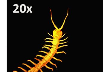 Image of Celestron Handheld Digital Microscope Pro 44308