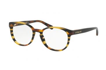 Image of Coach HC6102 Eyeglass Frames 5440-51 - Blk Amber Gltr Varsity Stripe Frame