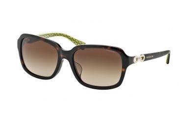 Image of Coach L545 ASHLEY HC8104F Single Vision Prescription Sunglasses HC8104F-523213-57 - Lens Diameter 57 mm, Frame Color Dark Tortoise/Dark Tortoise Green Sig C