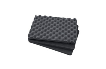 Image of Condition1 Replacement Foam for #162 Case, F11972