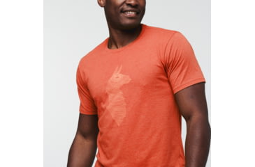 Image of Cotopaxi Topo Llama T-Shirt - Mens, Canyon, Large, TS-S22-TLL-CYN-M-L