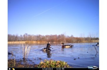 Image of Cuddeback C2 Long Range Video Camera 20 MP Brown