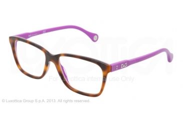 Image of D&amp;G VIBRANT COLOURS DD1238 Bifocal Prescription Eyeglasses 2608-5215 - Havana On Violet Frame