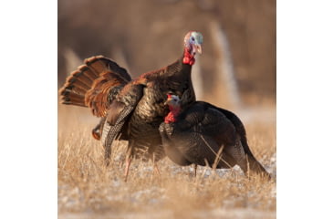 Image of Dave Smith Decoys 3/4 Strut Jake Decoy