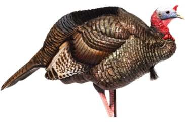 Image of Dave Smith Decoys 3/4 Strut Jake Decoy