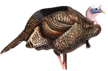 Image of Dave Smith Decoys 3/4 Strut Jake Decoy