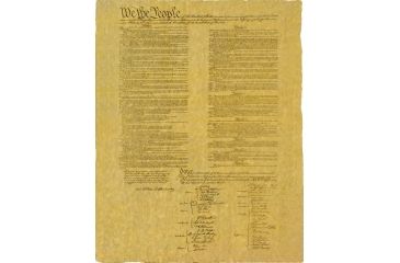 Image of Denix US Constitution DX91