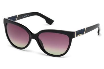 Image of Diesel DL0102 Sunglasses - Shiny Black Frame Color