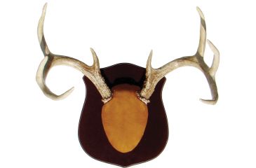 Image of Dead Deer Cam1true Classic Antler Mount